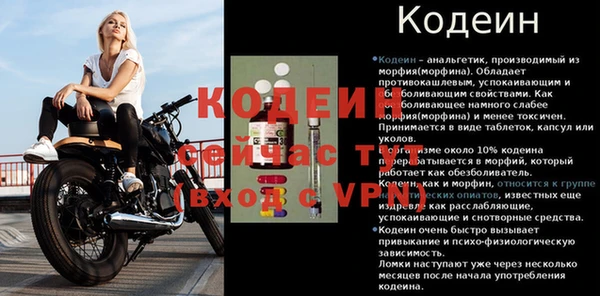 винт Инта